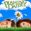 Pushing Daisies