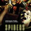 Spiders