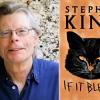 Stephen King / If It Bleeds