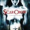 The Scar Crow