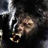 Wolfman