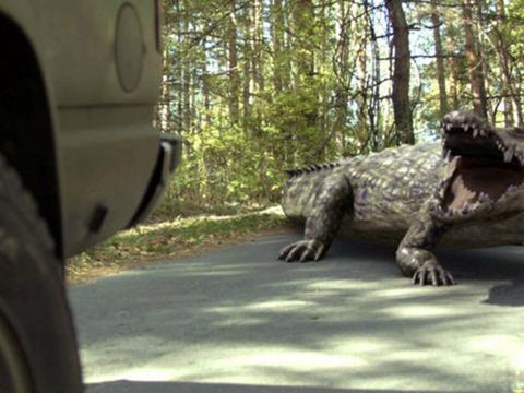 Lake placid Lake placid