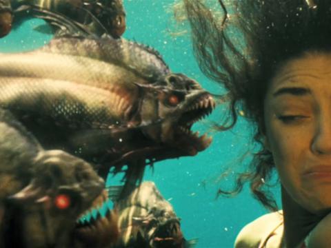 Piranha Piranha