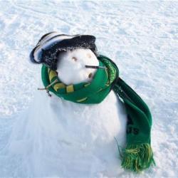 Portrait de Benoit Gran