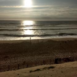 Portrait de Stéphane Carbou