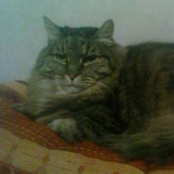 Portrait de Theresa Boagno