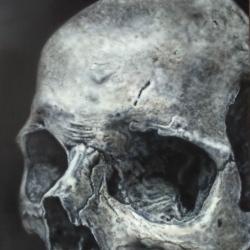 Portrait de Guillaume Karkasghouls