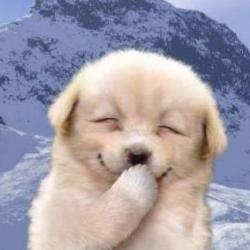 Portrait de VM Rémi