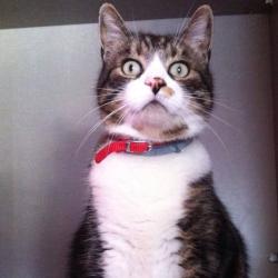 Portrait de Valérie Ange