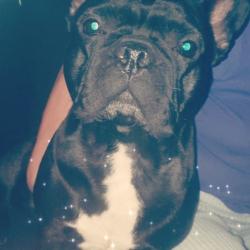 Portrait de Mike Laurent