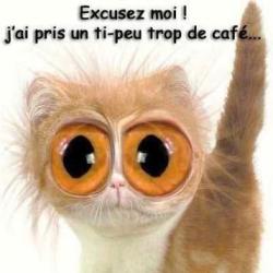 Portrait de Annick Tremblay