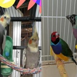 Portrait de Diane Lefebvre