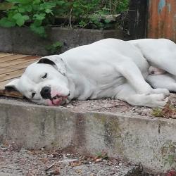 Portrait de Mickael Panier
