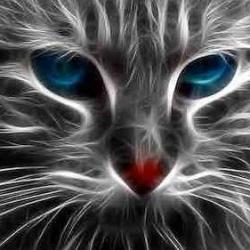 Portrait de Jo-anne Betit