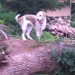 Portrait de Jean-Marc Ledud
