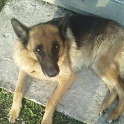 Portrait de Karine Bastard