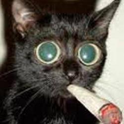 Portrait de Frederic Poirot