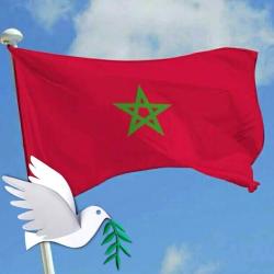 Portrait de Youssef Hero