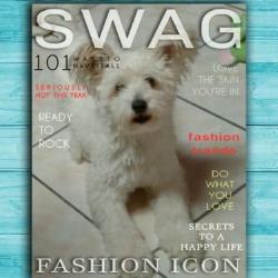 Portrait de Angélique Sprimont