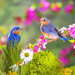 Portrait de Ghislaine Post