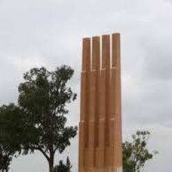 Portrait de Belgacem Amine