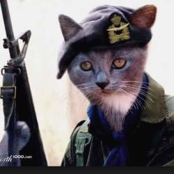 Portrait de Addam Addams