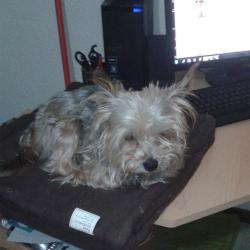 Portrait de Patricia Promonet