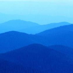 Portrait de Tarek Rekhaies