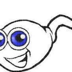 Portrait de Caliméro Nb