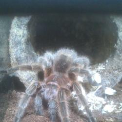 Portrait de Sylvain Decotte