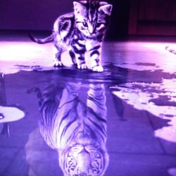 Portrait de Michel Bor