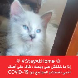 Portrait de Samia Samou Benouagueni