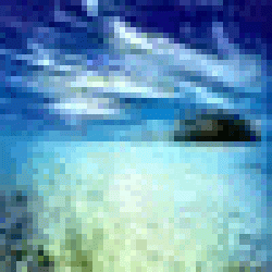 Portrait de VincentKite