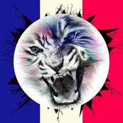 Portrait de Chrisboost