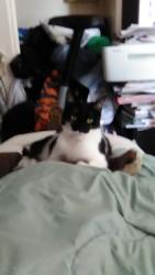 Portrait de pille666