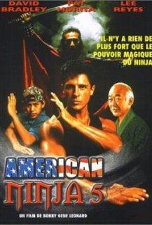 American Ninja 5