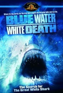 Bleue est la mer Blanche est la mort