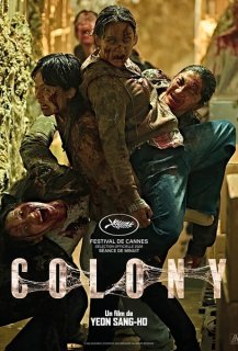 Colony