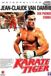 Karaté Tiger
