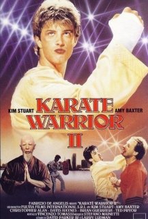 Karate Warrior 2