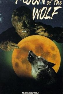 Le  Loup de la Nuit