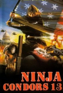Ninja Condors 13