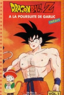 Dragon ball Z : A la poursuite de Garlic