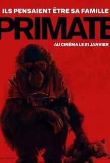Primate