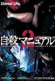 The Suicide Manual 2: Intermediate Stage