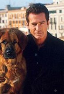 Les Nouvelles Aventures de Tequila et Bonetti