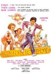 Le Petit Roi du Kung-Fu