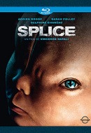 Splice