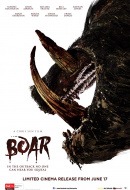 Boar