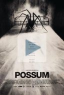 Possum